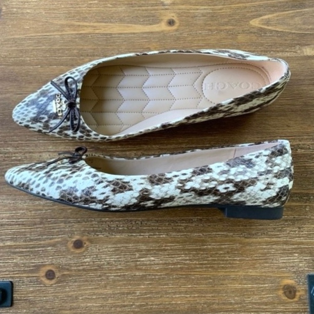 Coach Annabel Snake Print Pointed Toe Ballet Flats Sz 6.5 New! - Picture 4 of 13